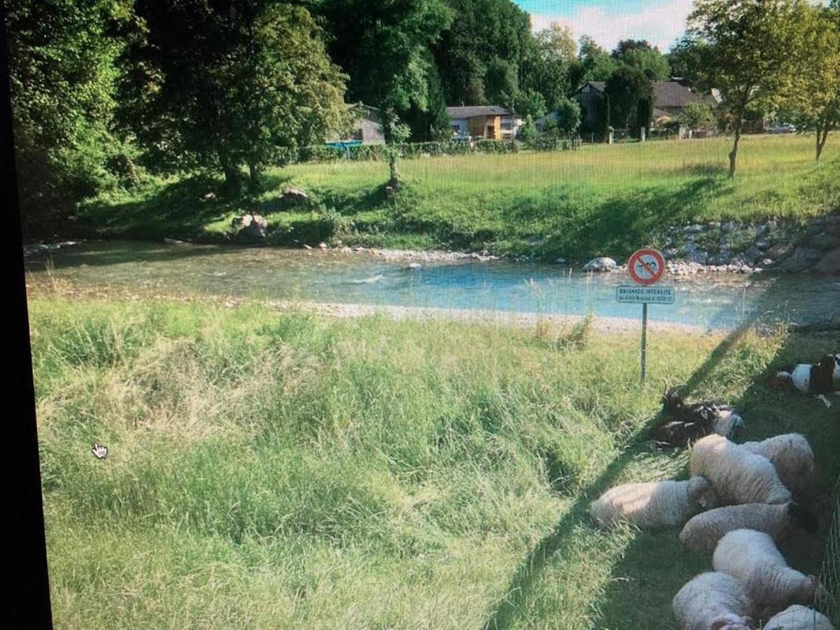 Maison Paisible Au Coeur Des Pyrenees Igon エクステリア 写真